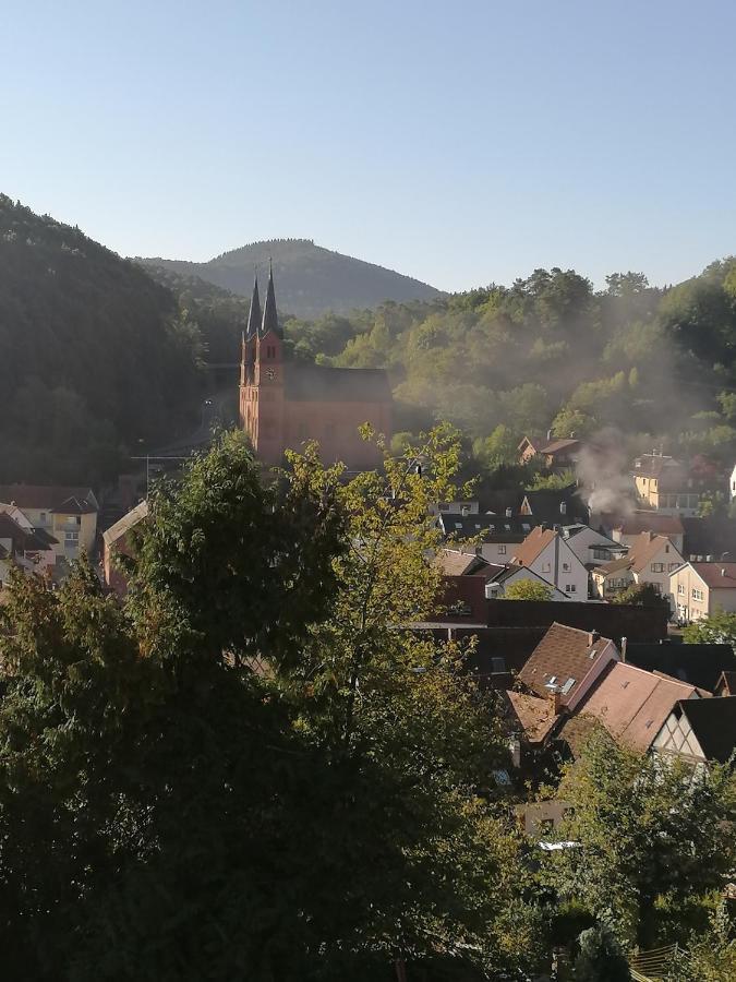 Hotel Am Hirschhorn - Wellness - Spa - And More Wilgartswiesen Eksteriør billede