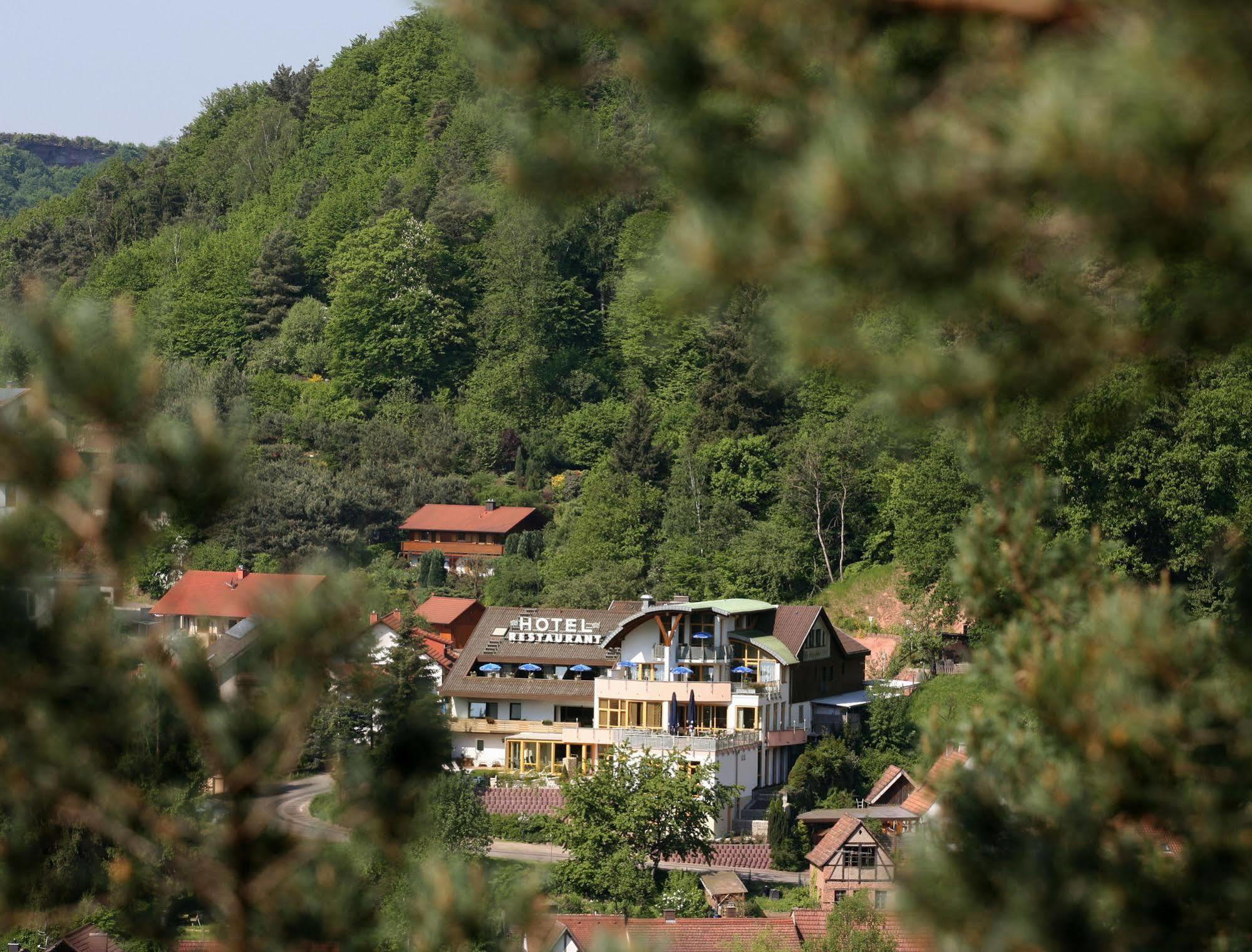 Hotel Am Hirschhorn - Wellness - Spa - And More Wilgartswiesen Eksteriør billede