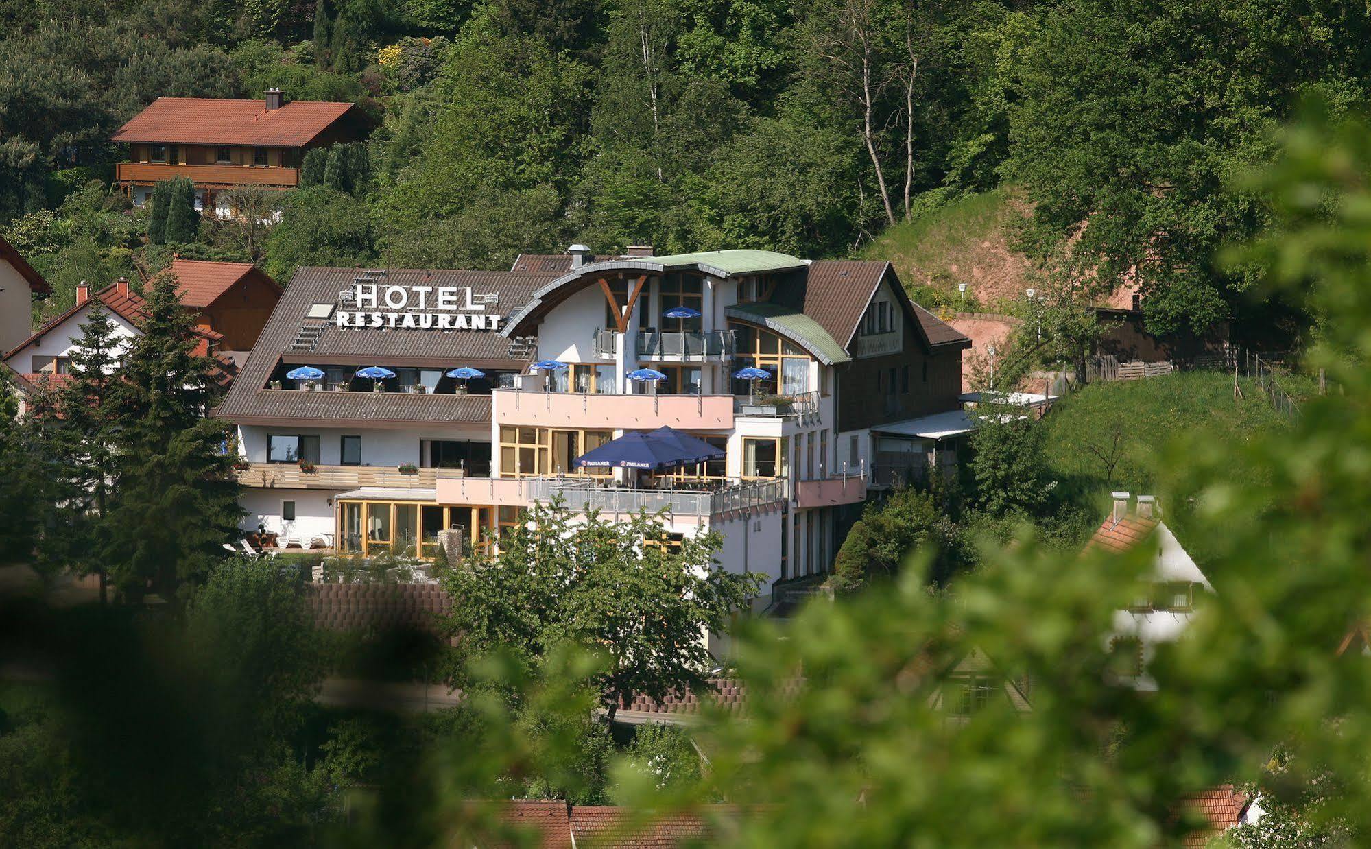 Hotel Am Hirschhorn - Wellness - Spa - And More Wilgartswiesen Eksteriør billede